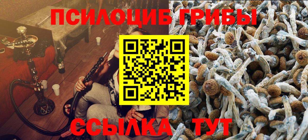 Новокуйбышевск  Псилоцибиновые грибы ЛСД  Вход с VPN 